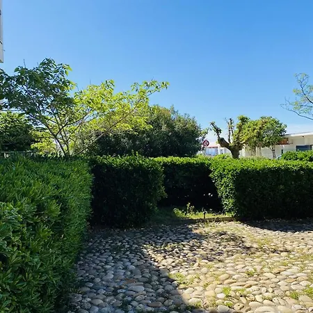公寓 T2 Terrasse Et Vue - 4 Pers. - Fr-1-874-87 *